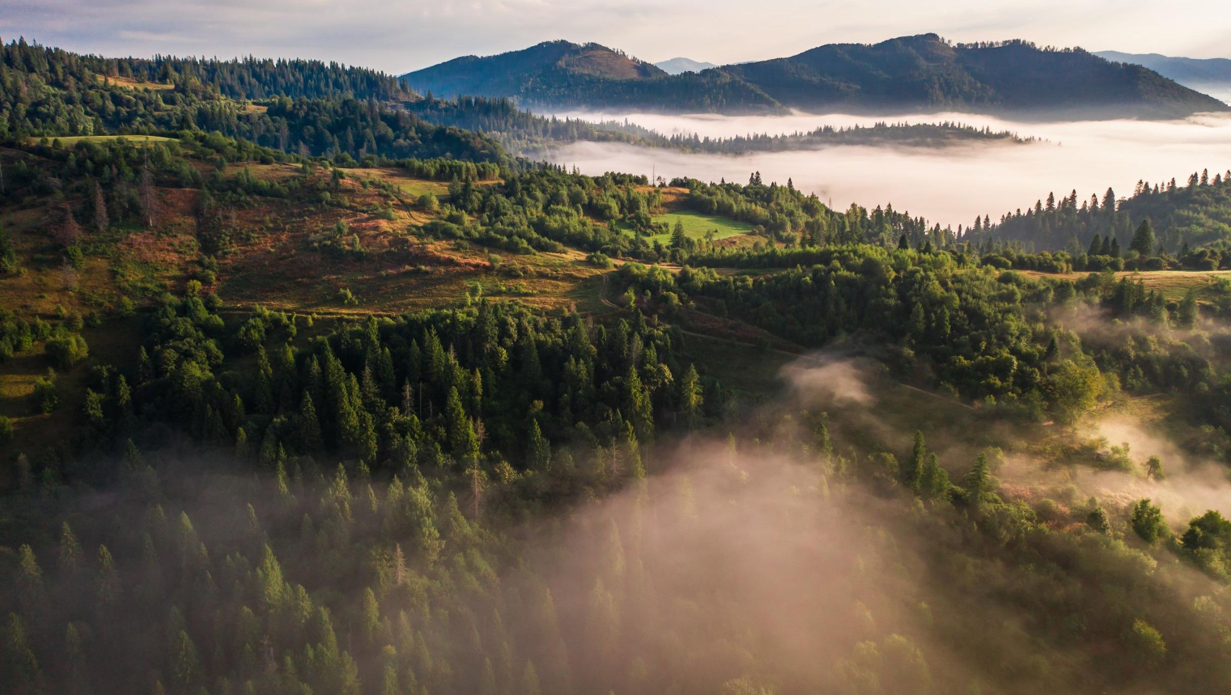 Grønt og frodig landskap med åser og skog, delvis dekket av lav tåke i morgensol.