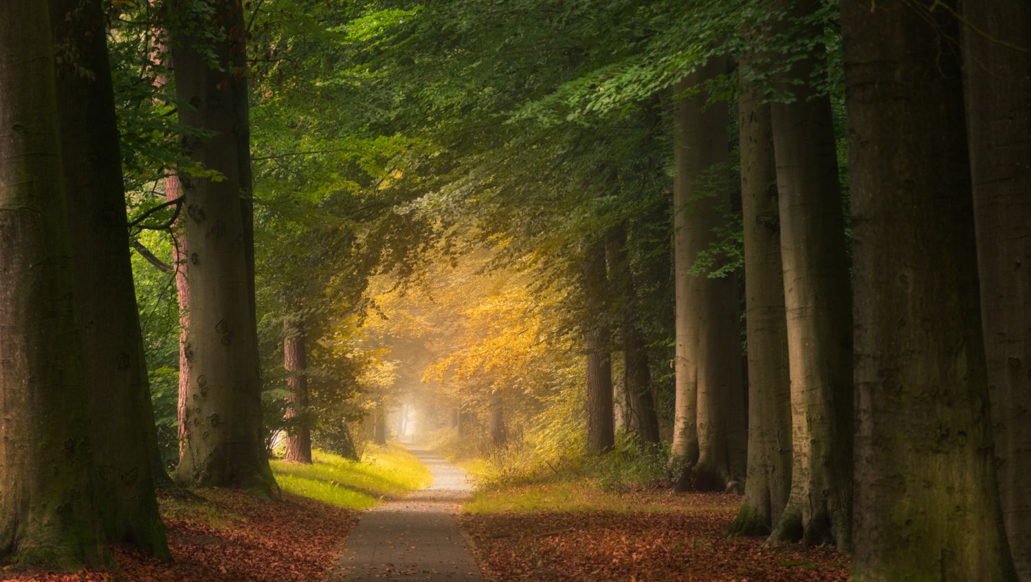 En person sitter i gresset med blomster i hendene i mykt sollys.
