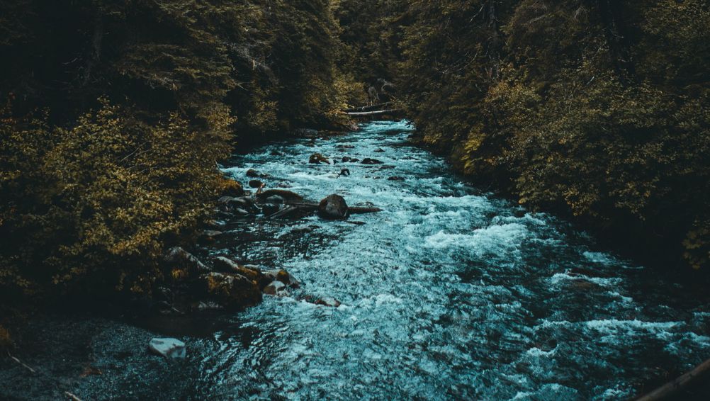 En terapeut tar notater mens en pasient prater i en uformell samtale.